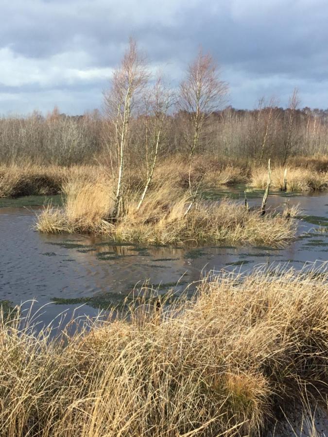 Kranich-Holzferienhaus 'Kleine Auszeit' Rehden Bagian luar foto
