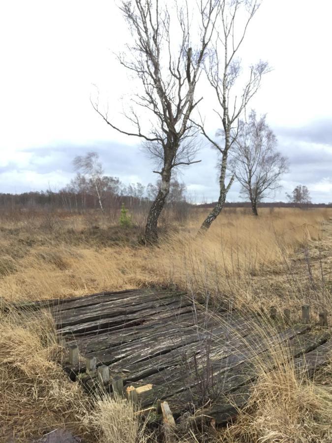 Kranich-Holzferienhaus 'Kleine Auszeit' Rehden Bagian luar foto