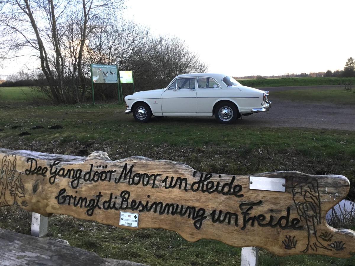 Kranich-Holzferienhaus 'Kleine Auszeit' Rehden Bagian luar foto